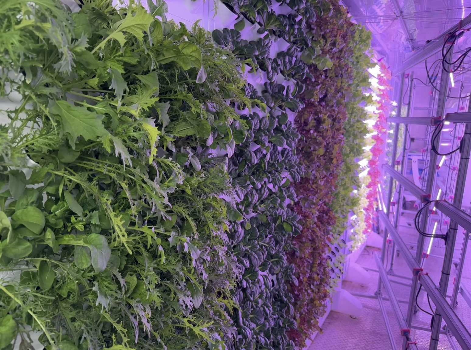 Aambé Health Launches “Living Food” Initiative with One Season Farmers and Harvest Today to Expand Tribal Food Systems