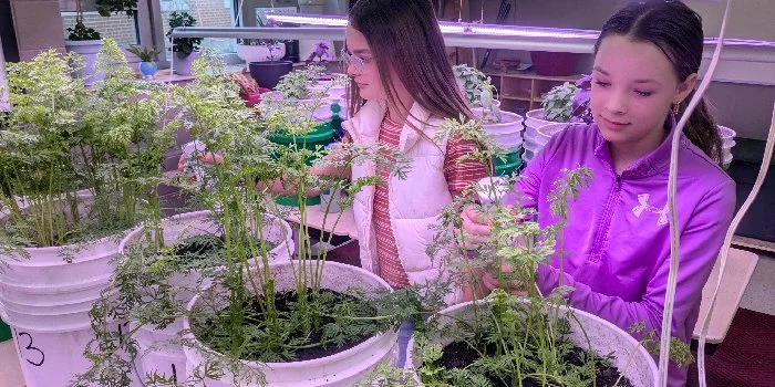 USA - WISCONSIN: Madison Fifth Graders Grow STEM Skills Through Year-Long Indoor Garden Project