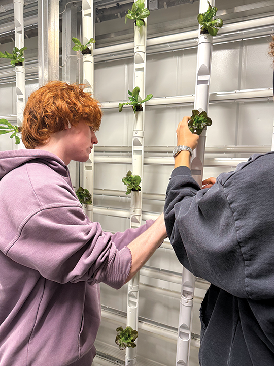 USA - CALIFORNIA: Beverly Hills USD Goes Green With Community Farm Program