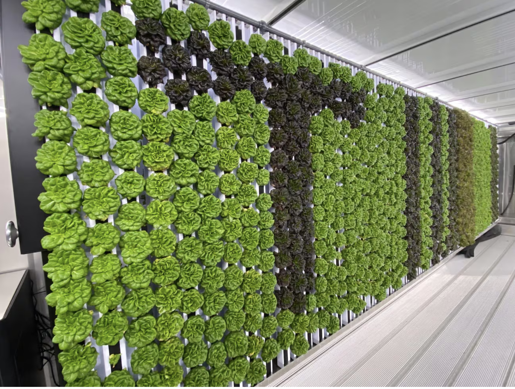 USA - South Carolina: SCDC To Launch Nation’s First Vertical Farm Inside a U.S. Prison 