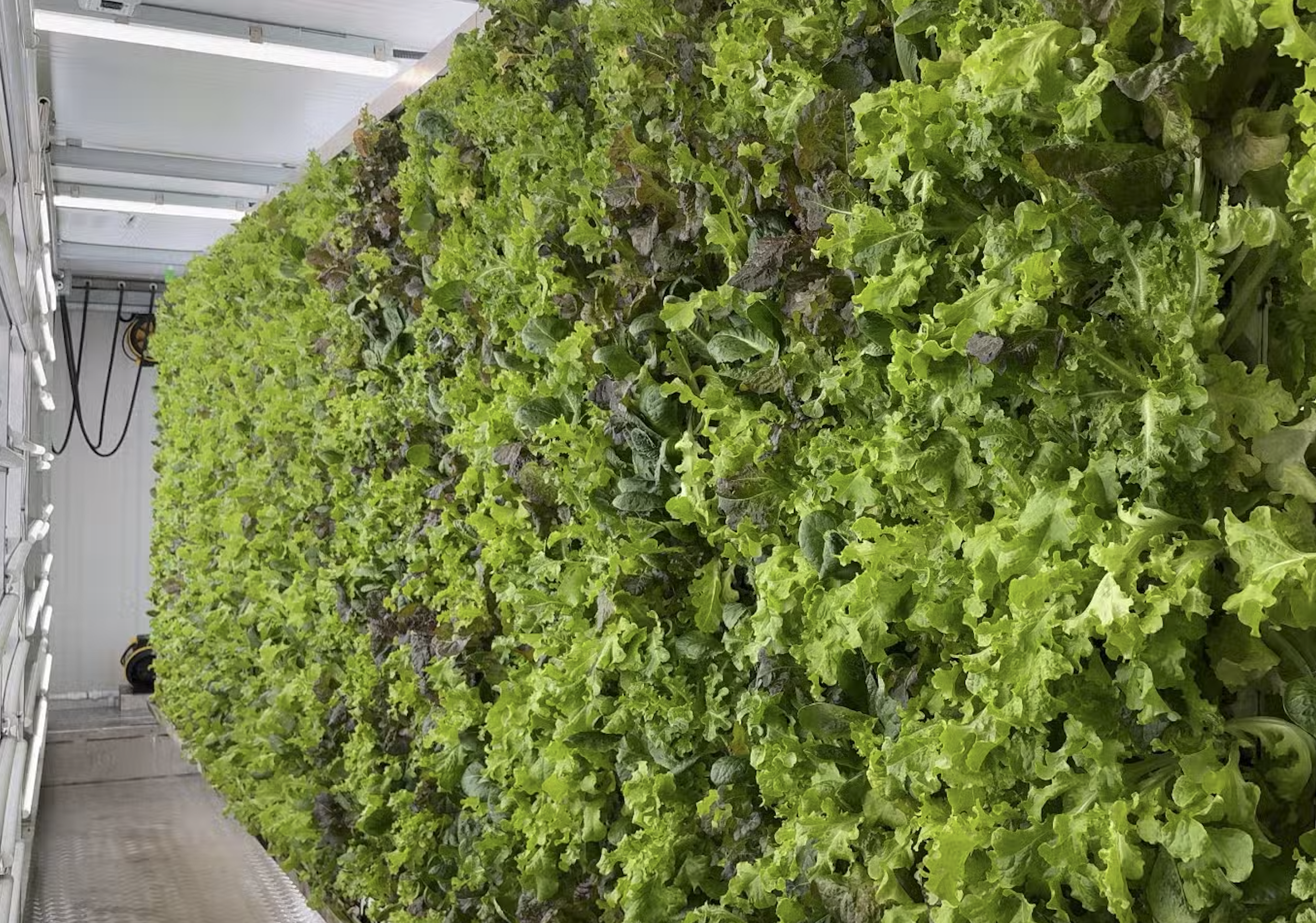 What Is a Hydroponic Classroom Container Farm? A Practical Guide for Educators