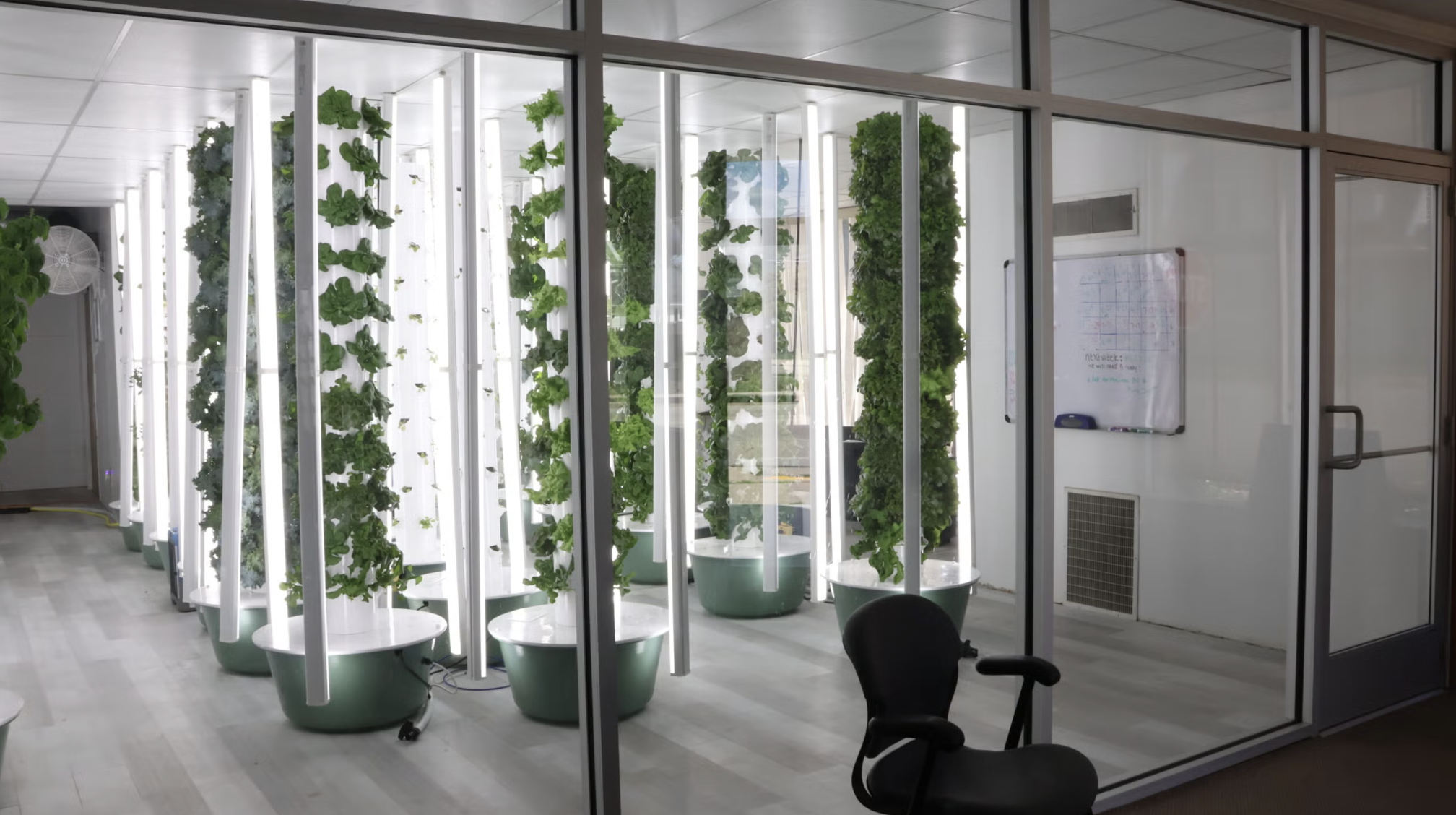 USA - KENOSHA, WISCONSIN: The Vertical Farm Revolution Fizzled, But Some Farms Have Sprouted