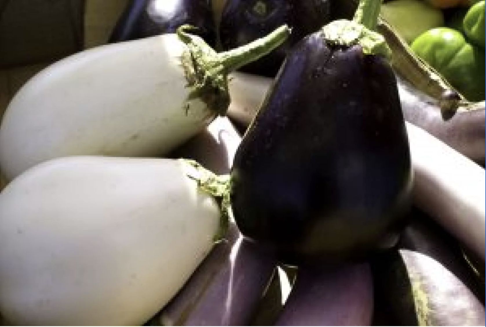 USA - DELAWARE: Dept. of Agriculture Seeking Applications for Specialty Crop Grant Program