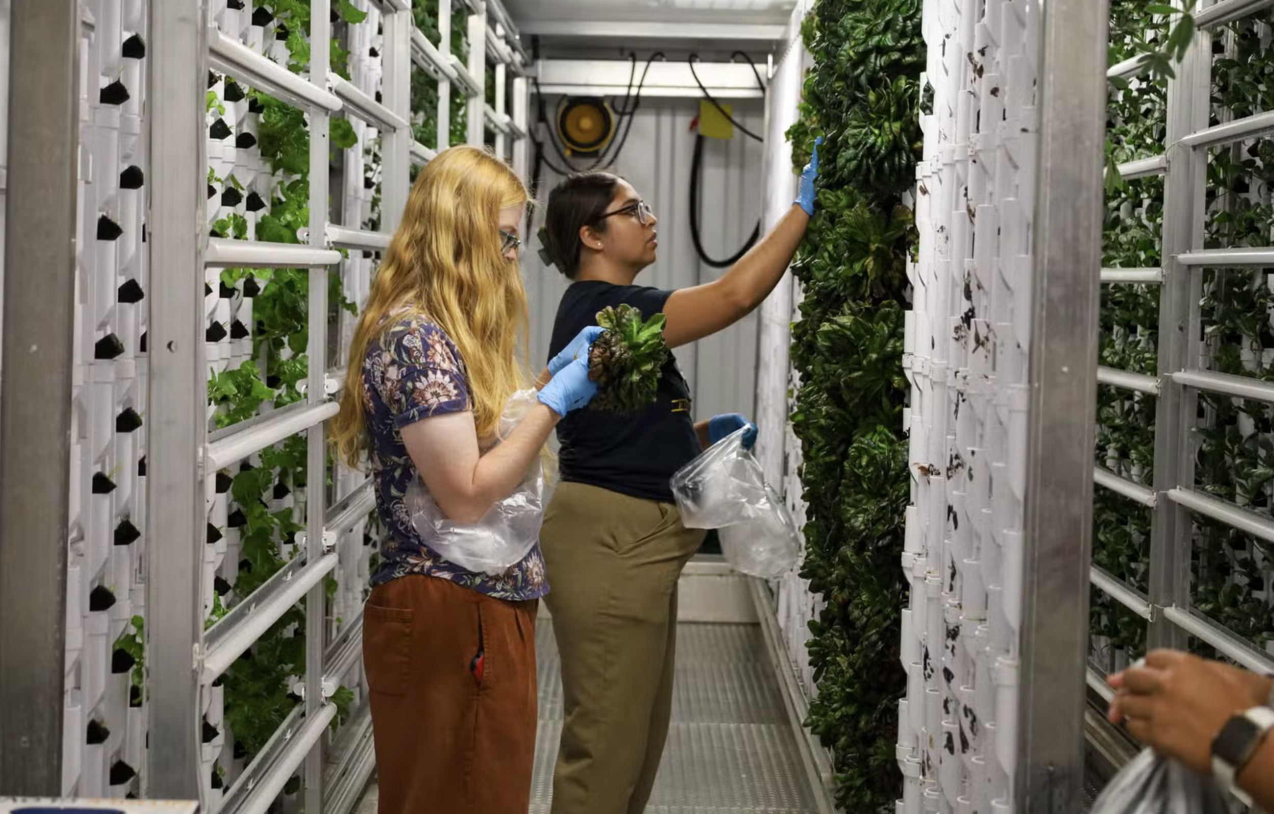 USA - COLORADO: Container Farms for Schools: How FarmBox Foods Is Transforming STEM, Food Security, and Experiential Learning