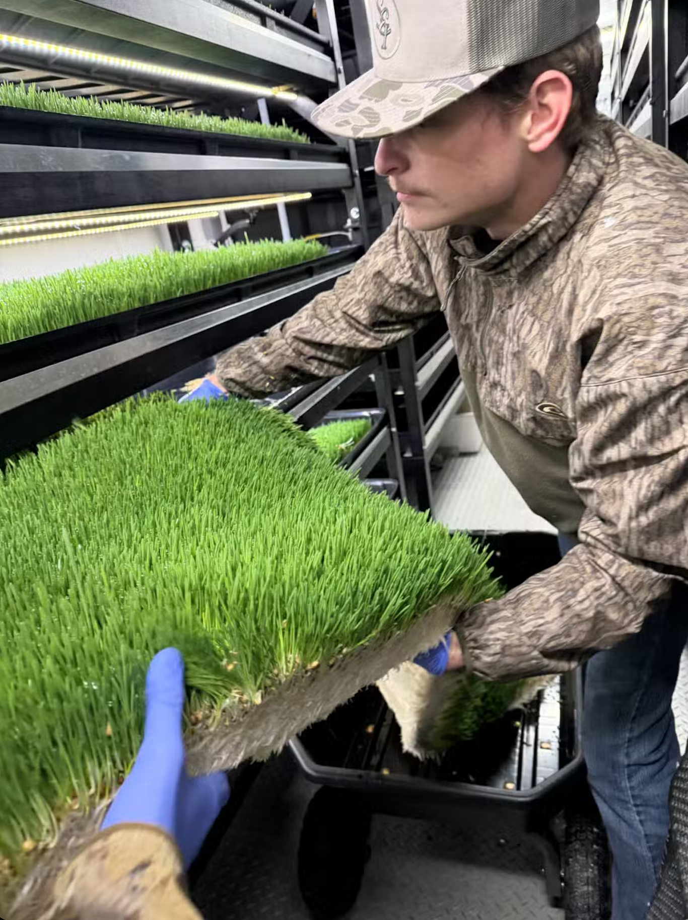 From Seed to Sale: How Entrepreneurship Schools Use Container Farms to Teach Business