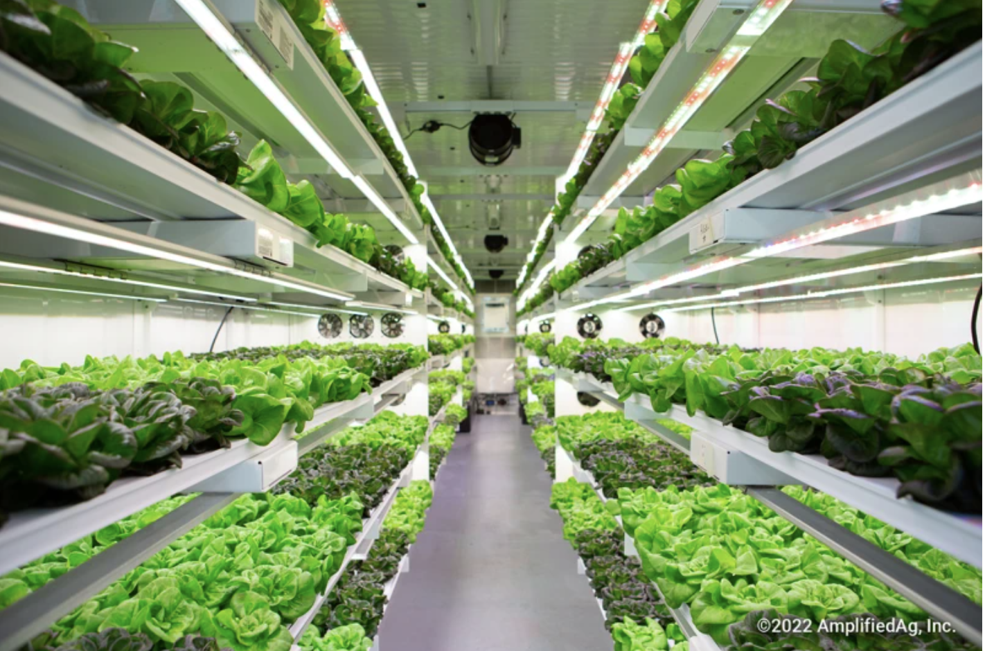 The Vertical Farms Changing the Face of Rehabilitation in South Carolina and California Prisons