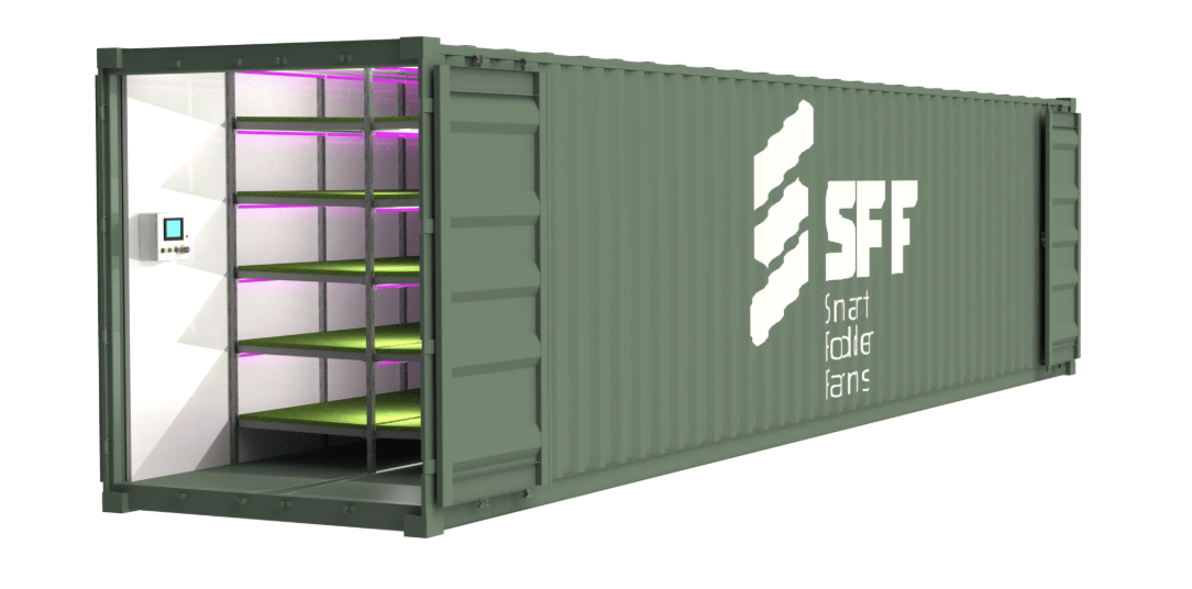 How Much Fresh Fodder Can a Livestock Farm Produce Inside a Container? More Than Many People Expect.