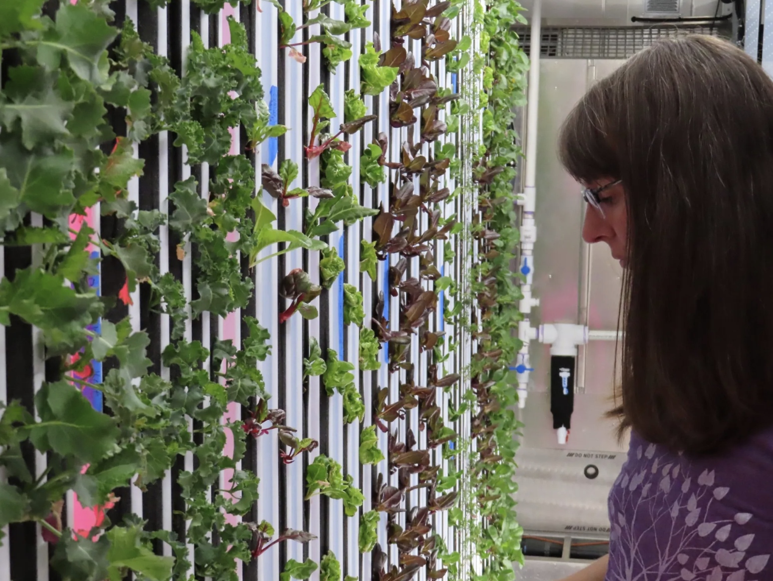 USA - COLORADO: Marble Farms is Growing The Seeds of Change