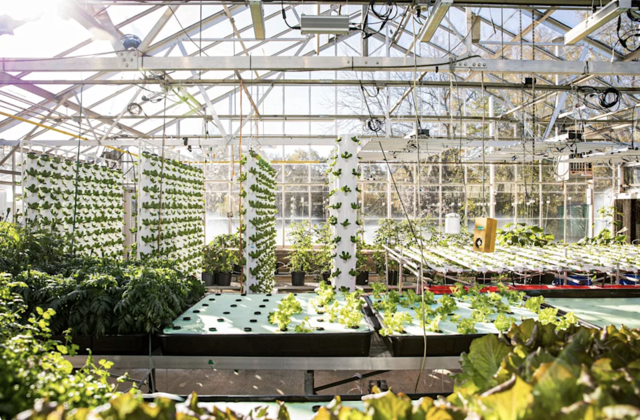 Controlled Farming May Help Crops Survive Climate Swings,  University of Georgia Says