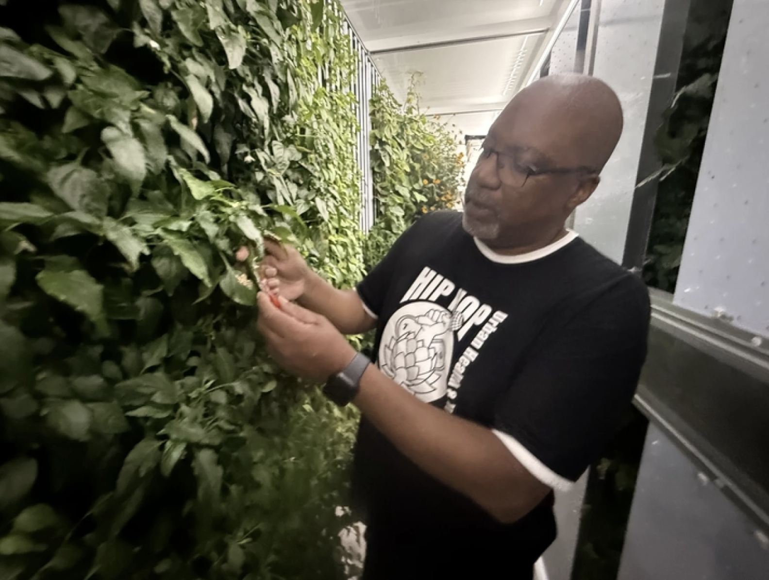 USA: WASHINGTON STATE - New Seattle Farm Teaches Kids How to Grow Acres of Food in the City