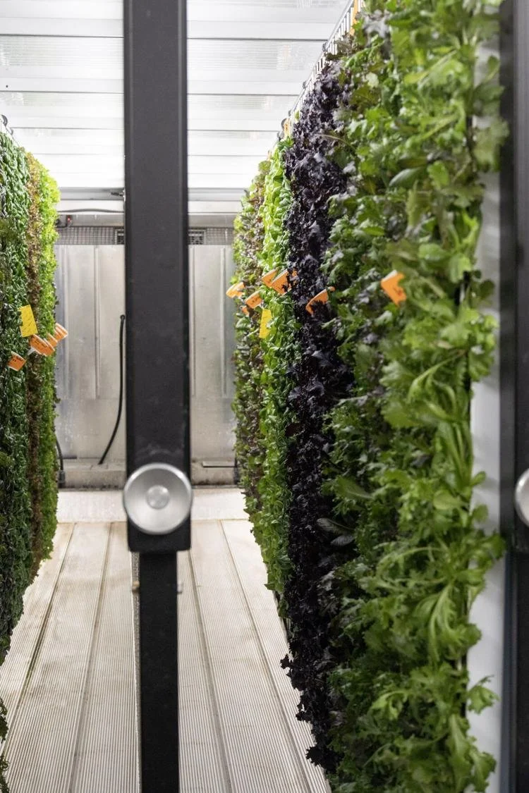 Purdue University Student Farm Grows Partnership With Bistro