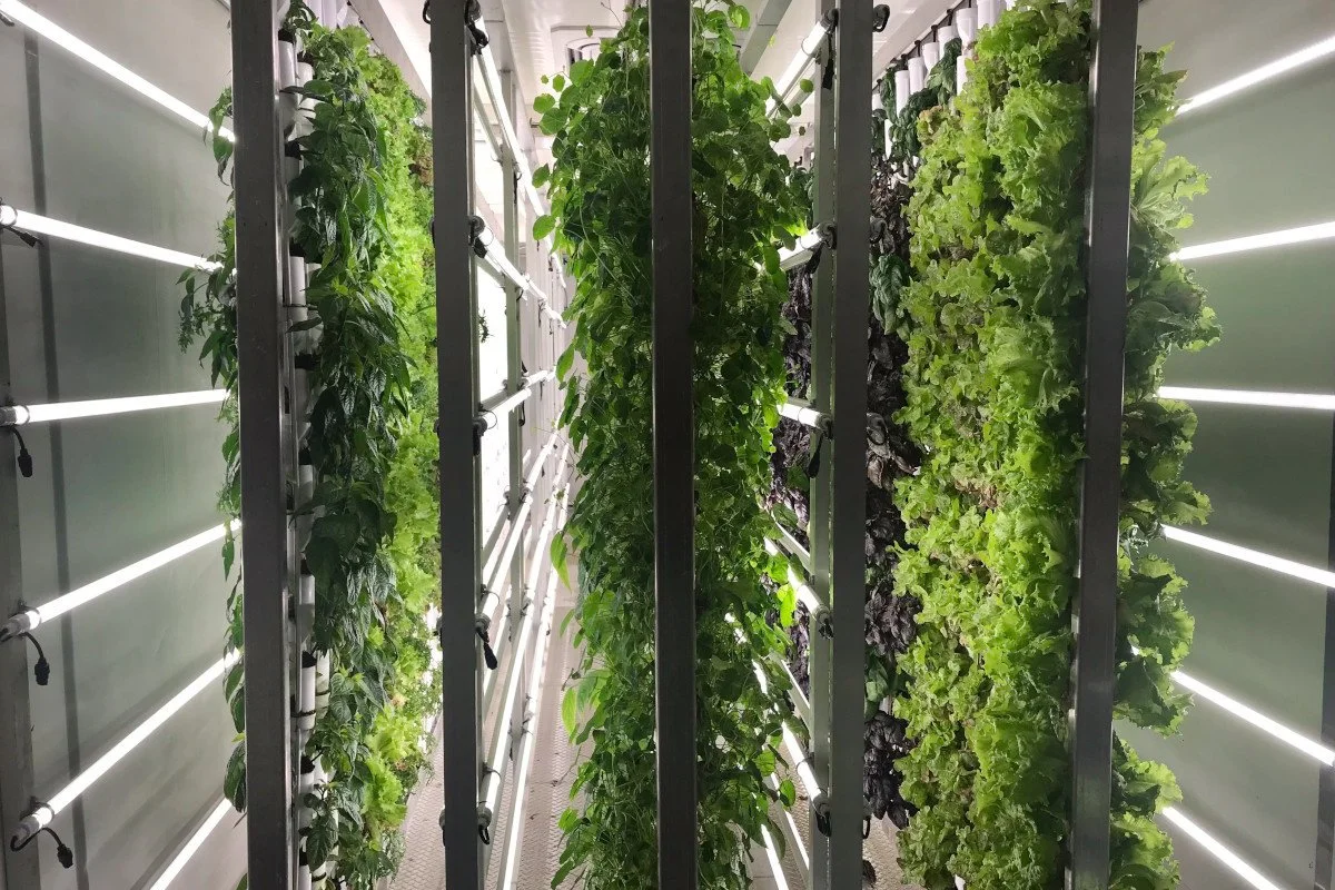 Jason Brown, Founder of FarmBox Foods - "Let's Just Build The Farm Inside The Container"