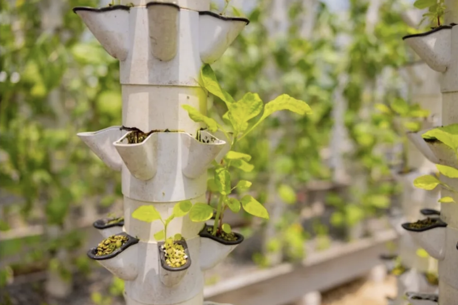 Some Gardeners Are Growing Vegetables in Stackable Towers Indoors, And Vertical Farming Is Reaching Living Rooms