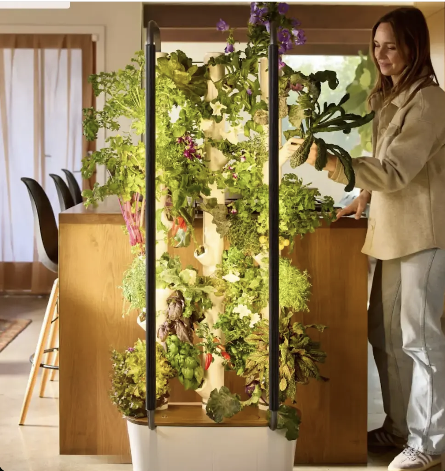 USA - MARYLAND: Howard County Students Grow Fresh Produce in Schools Via Hydroponic Gardening Systems