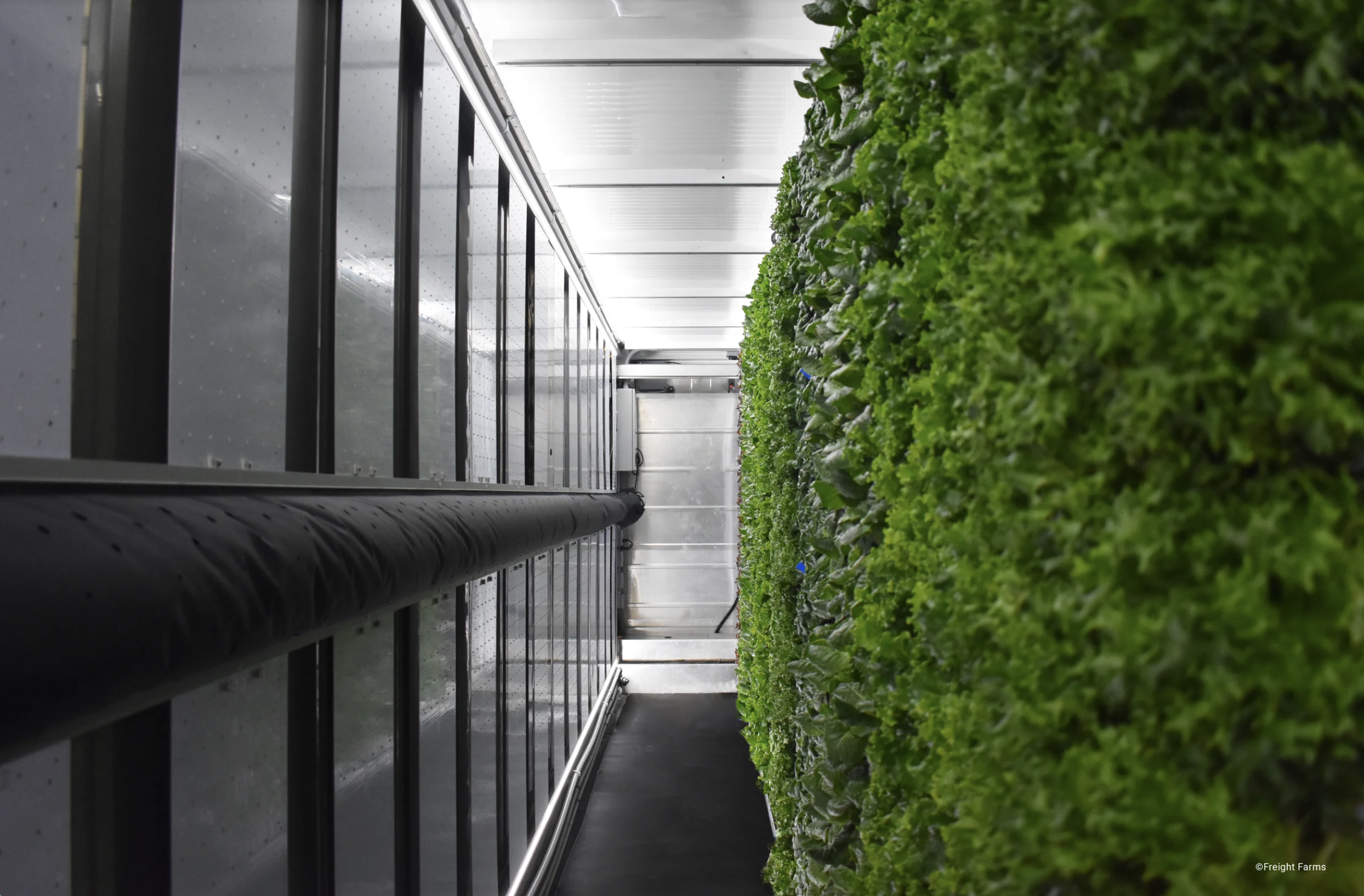 USA - NORTH CAROLINA: Vertical Farm at Innovation Barn Offers Alternative to Traditional Produce in Charlotte Region