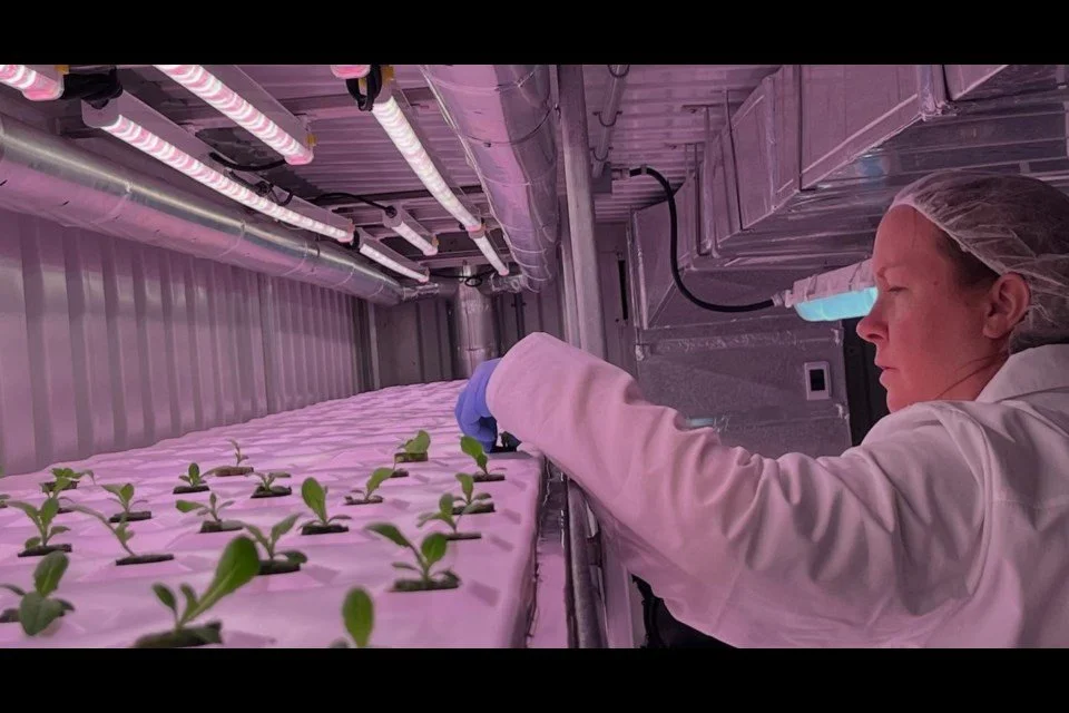 transplanting-plants (1).jpg