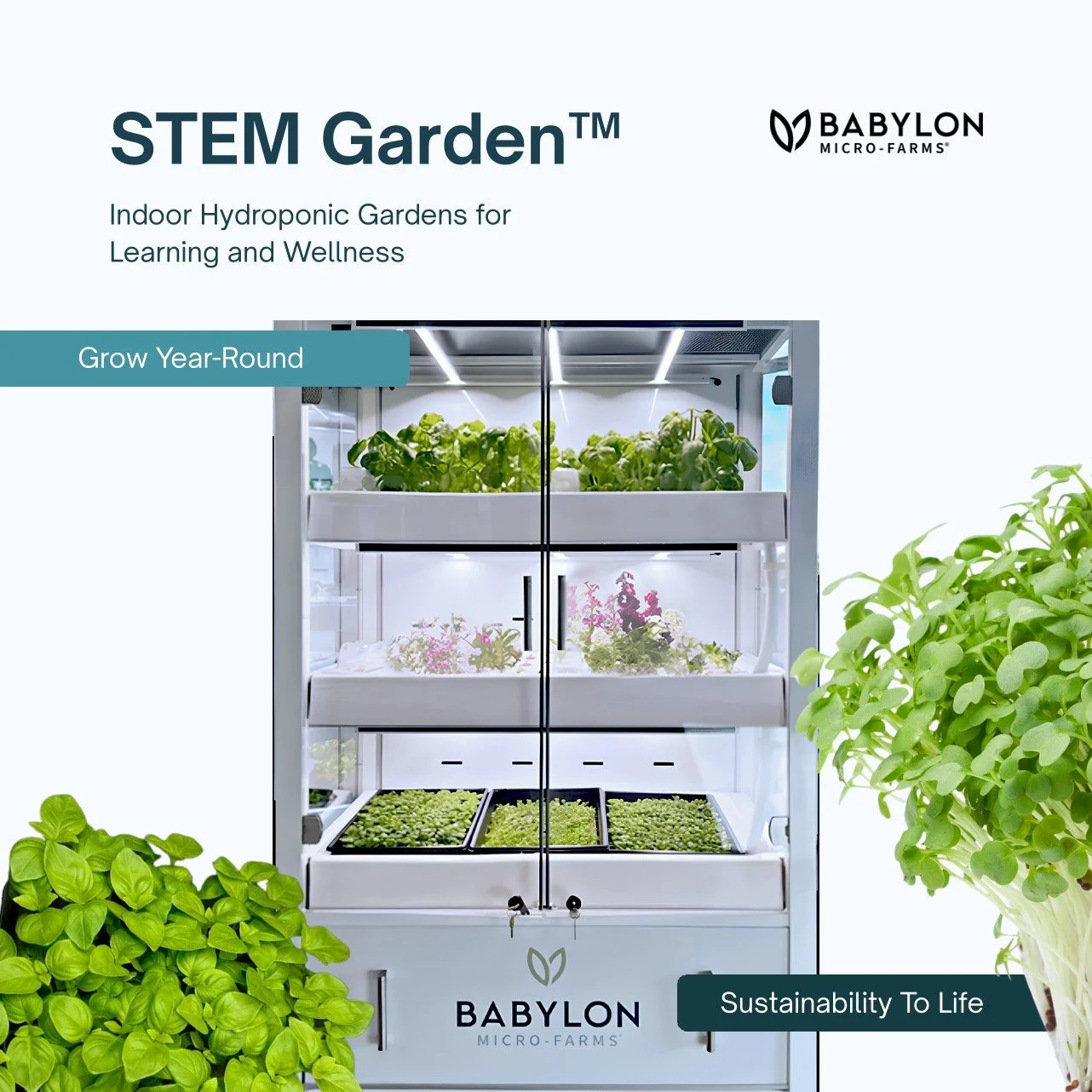 What Can You Grow in a STEM Garden™