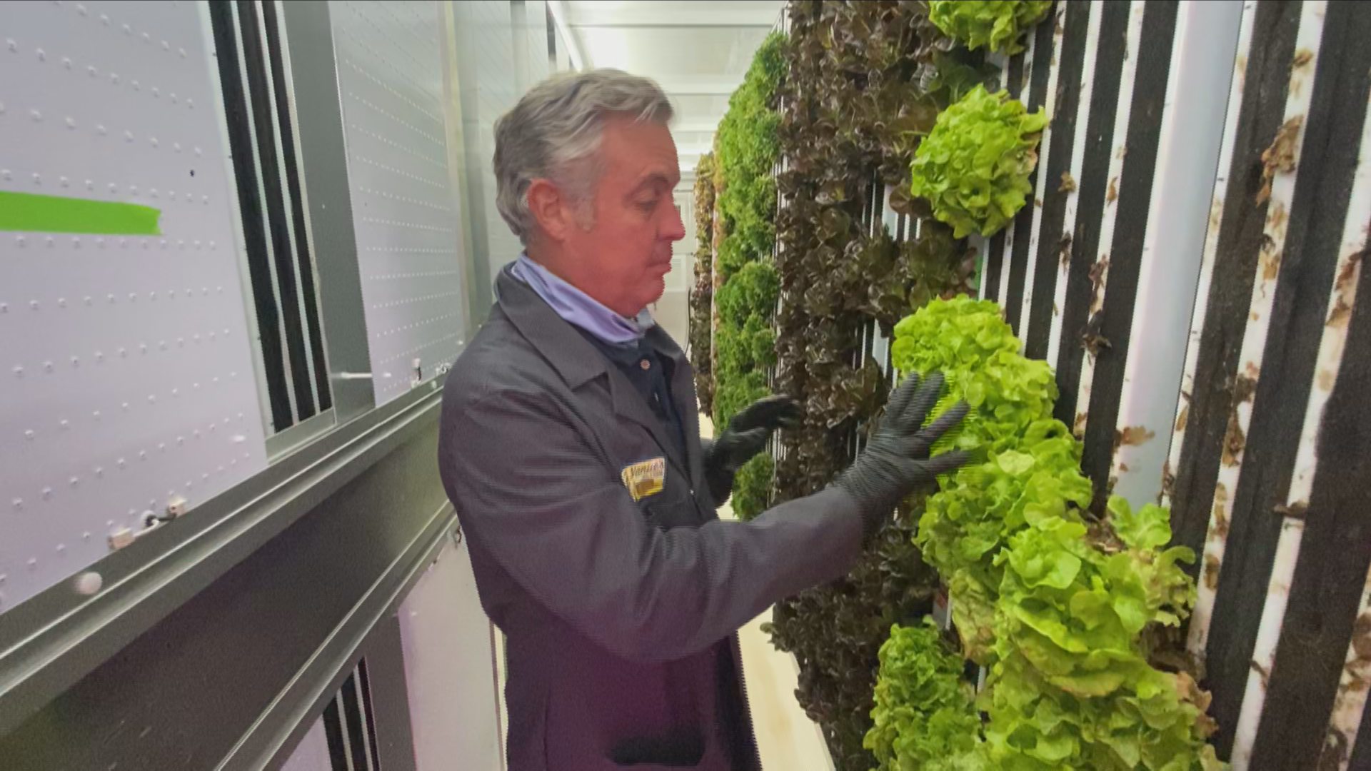 Is Hydroponic Produce Safer During Foodborne Illness Outbreaks?