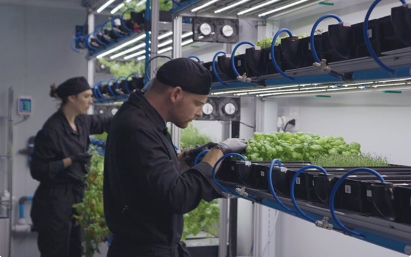 SOUTH AFRICA: Arable Grow’s Container Farms Reach Spar’s Shelves in the Western Cape