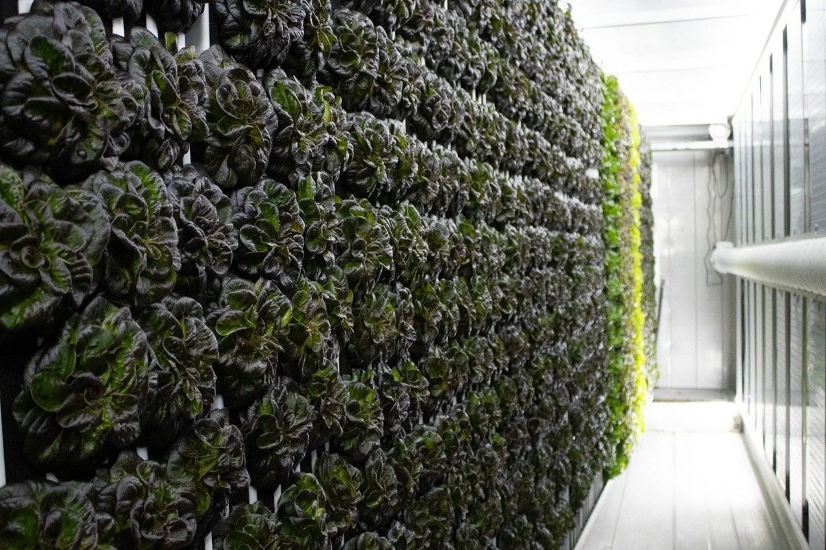 "The Crop Plan is Determined by the Customer, Not by a Guess We Made Months Earlier"