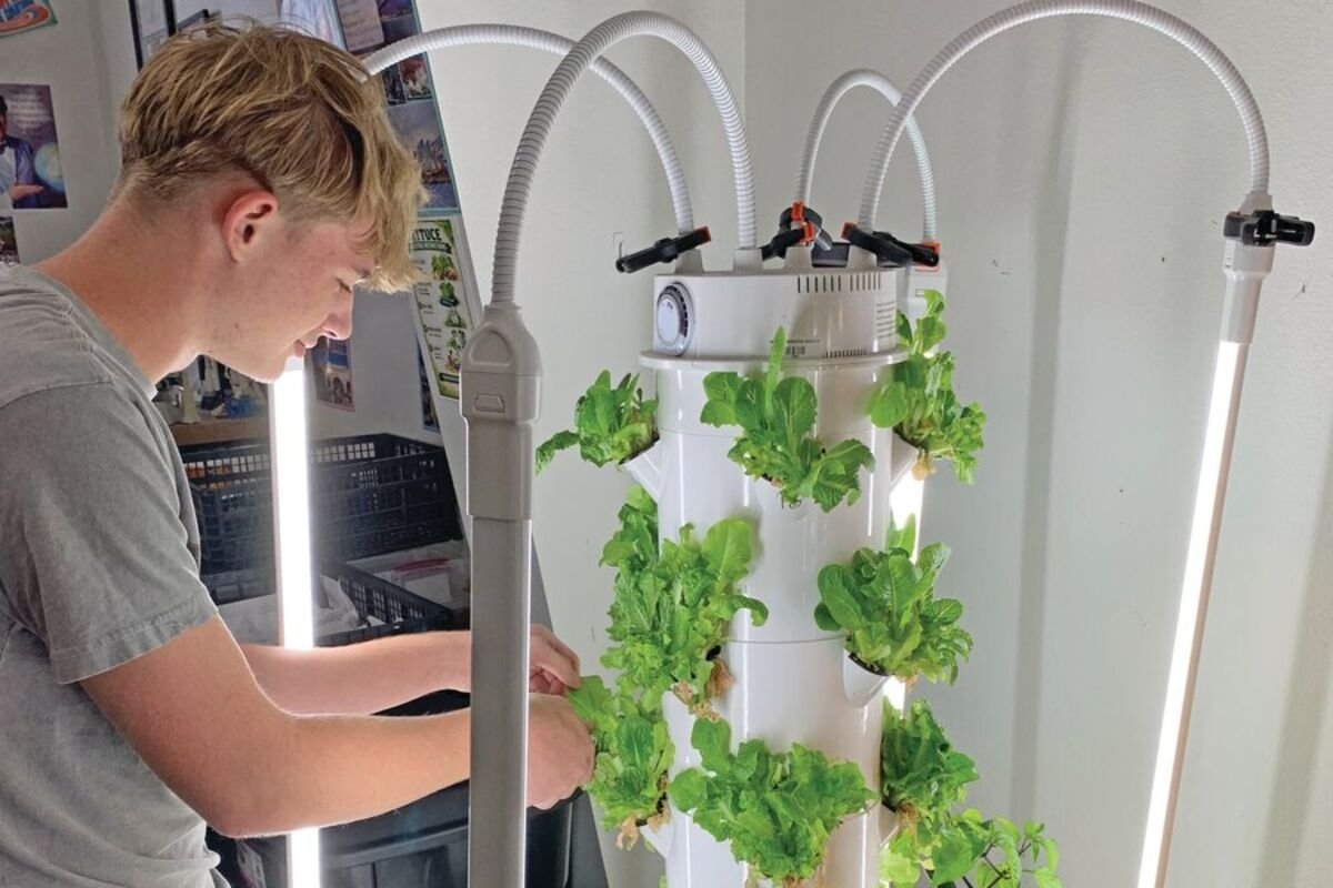 USA - NEW MEXICO: From School Farm to School Table