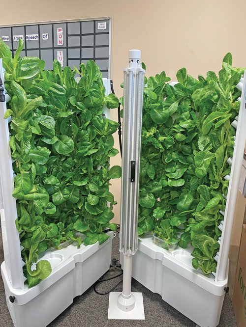 USA - Broadview Hts, Ohio: BBH School Lunch Programs Integrate Hydroponic Gardens to Provide Locally Sourced Foods