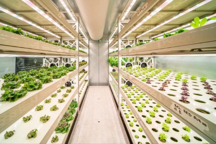 Siemens SIMATIC Powers LindenGreen’s Container Farms