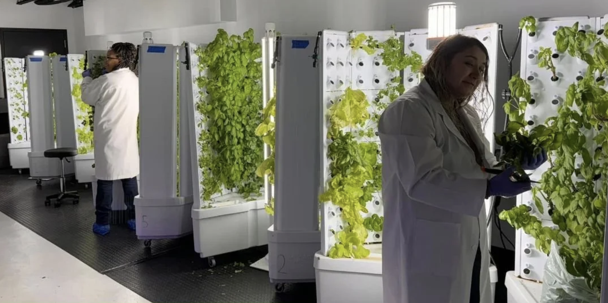 Fork Farms Featured Farm: Hope Center in Blue Island, Illinois