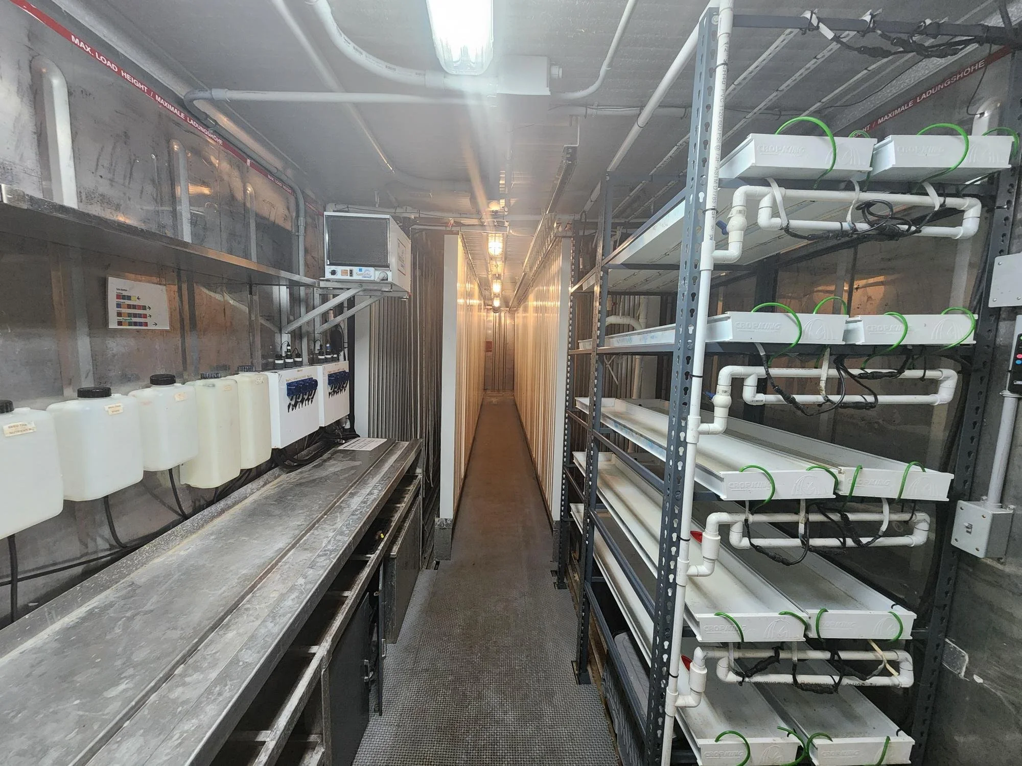 Farm1 MicroGreen.jpg