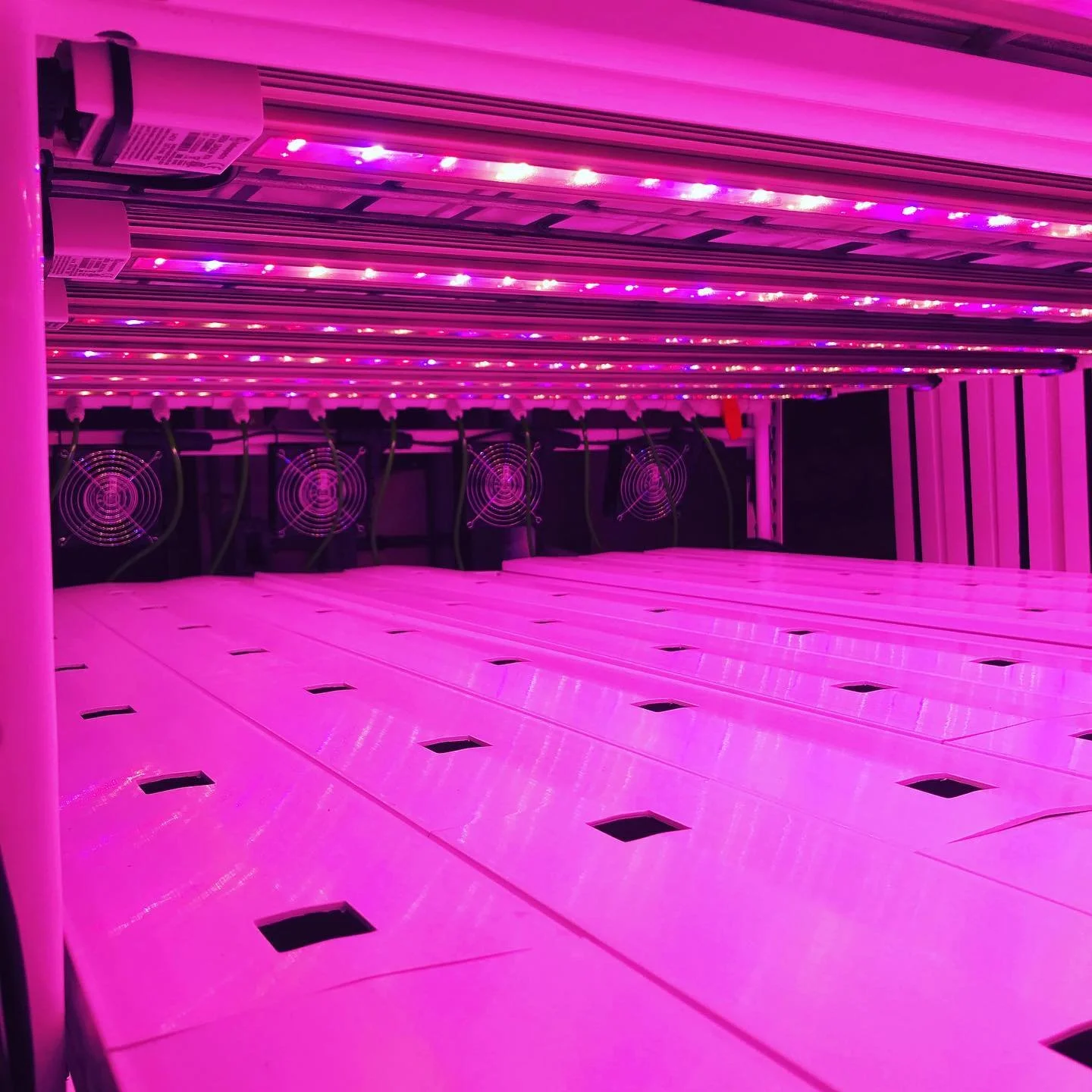 Custom 40' NFT Hydroponic container farm | New Hampshire (NH2)