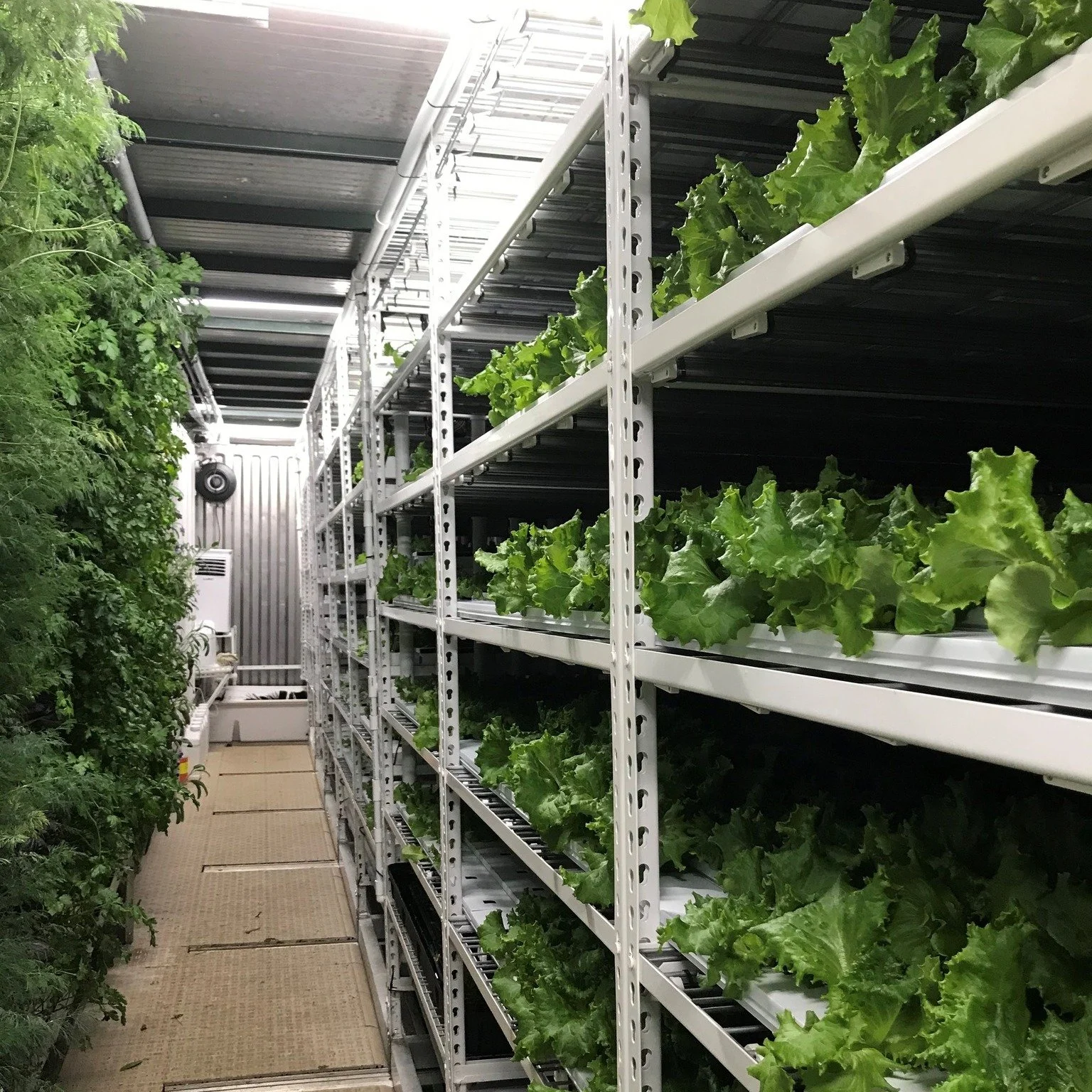 Farm3 Towers and rack.jpg