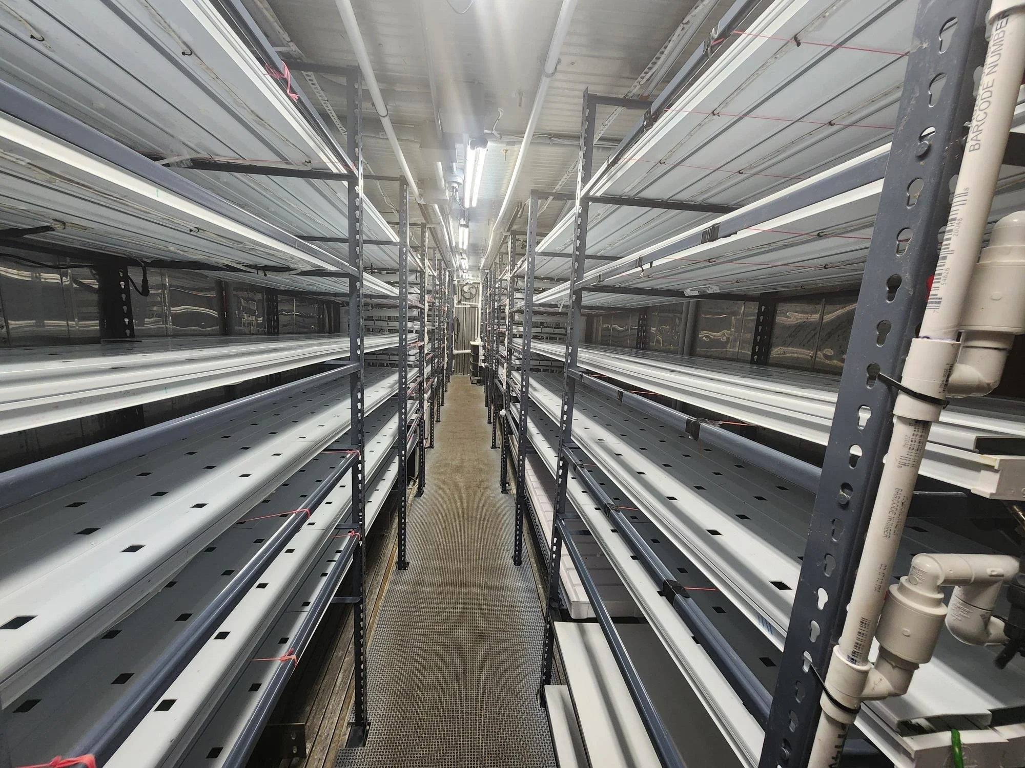 Farm2 Racks 2.jpg