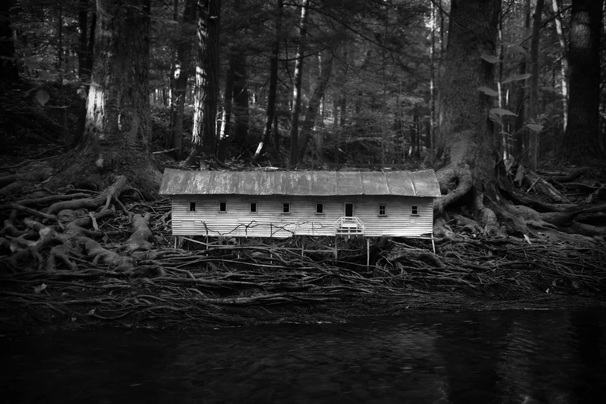 Duckweed Palace, Photograph/Sculpture, Robert Hite, 2006