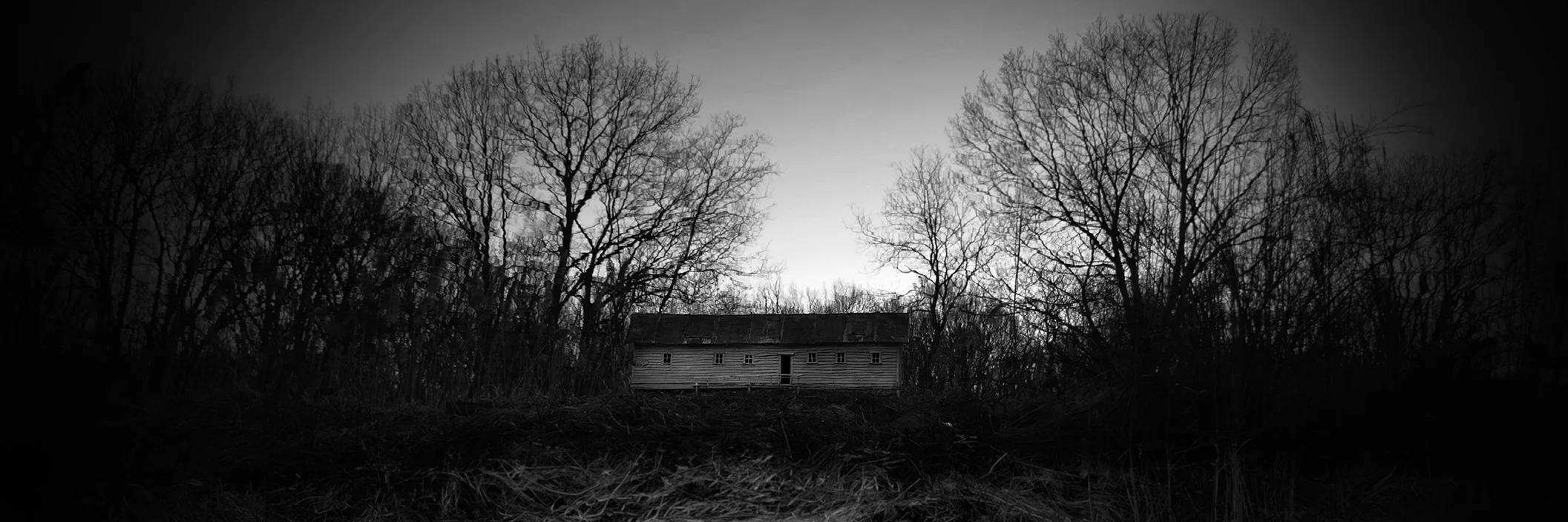 Duckweed House, Photograph/Sculpture, Robert Hite, 2012