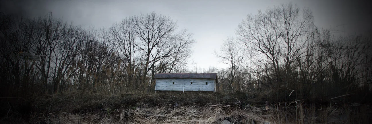 Duckweed House Back, Photograph/Sculpture, Robert Hite, 2012