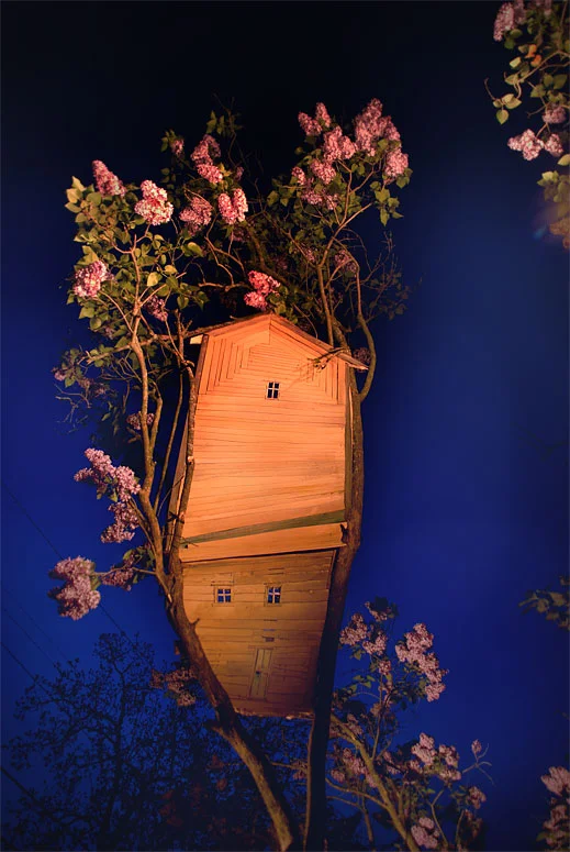 Lilac Blue, Photograph/Sculpture, Robert Hite, 2010