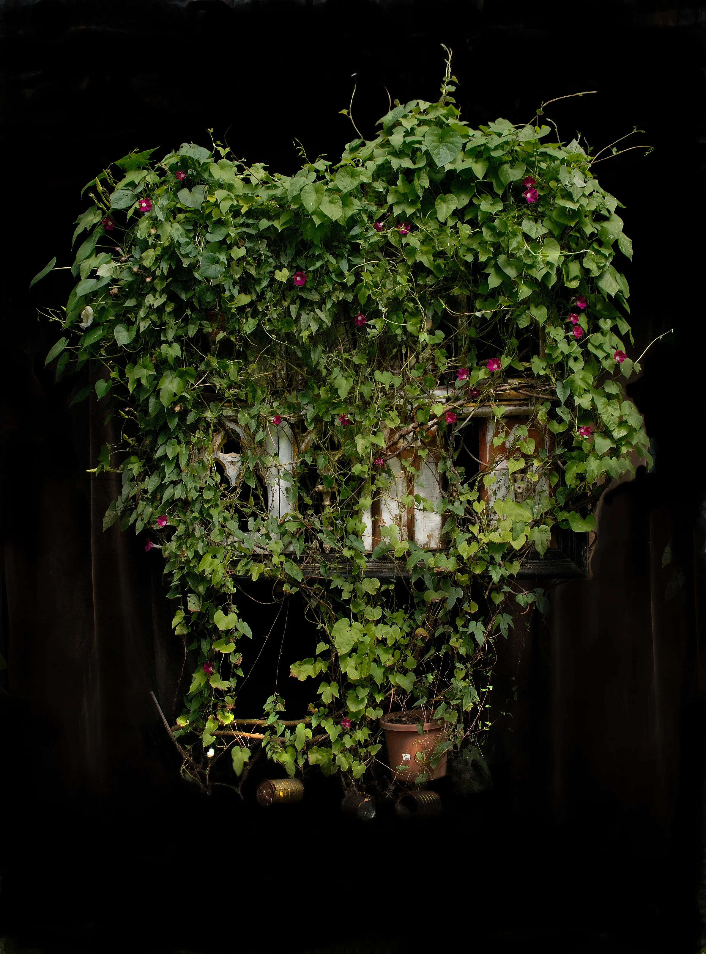 Red Glory, Photograph/Sculpture, Robert Hite, 2010
