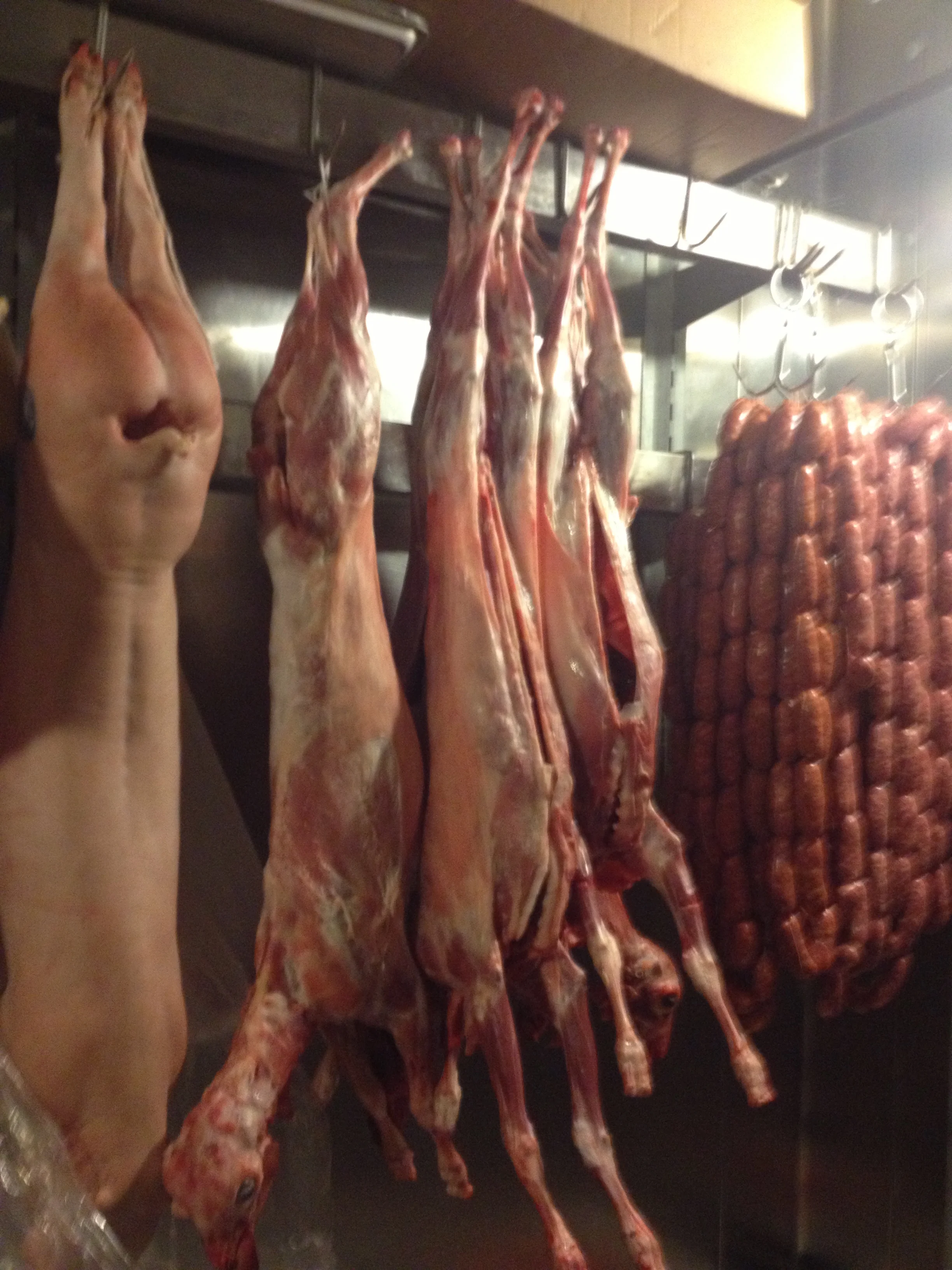 meat 4.jpg