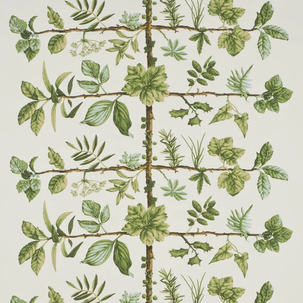 Pierre Frey Wallpaper - Espalier - 40% off retail