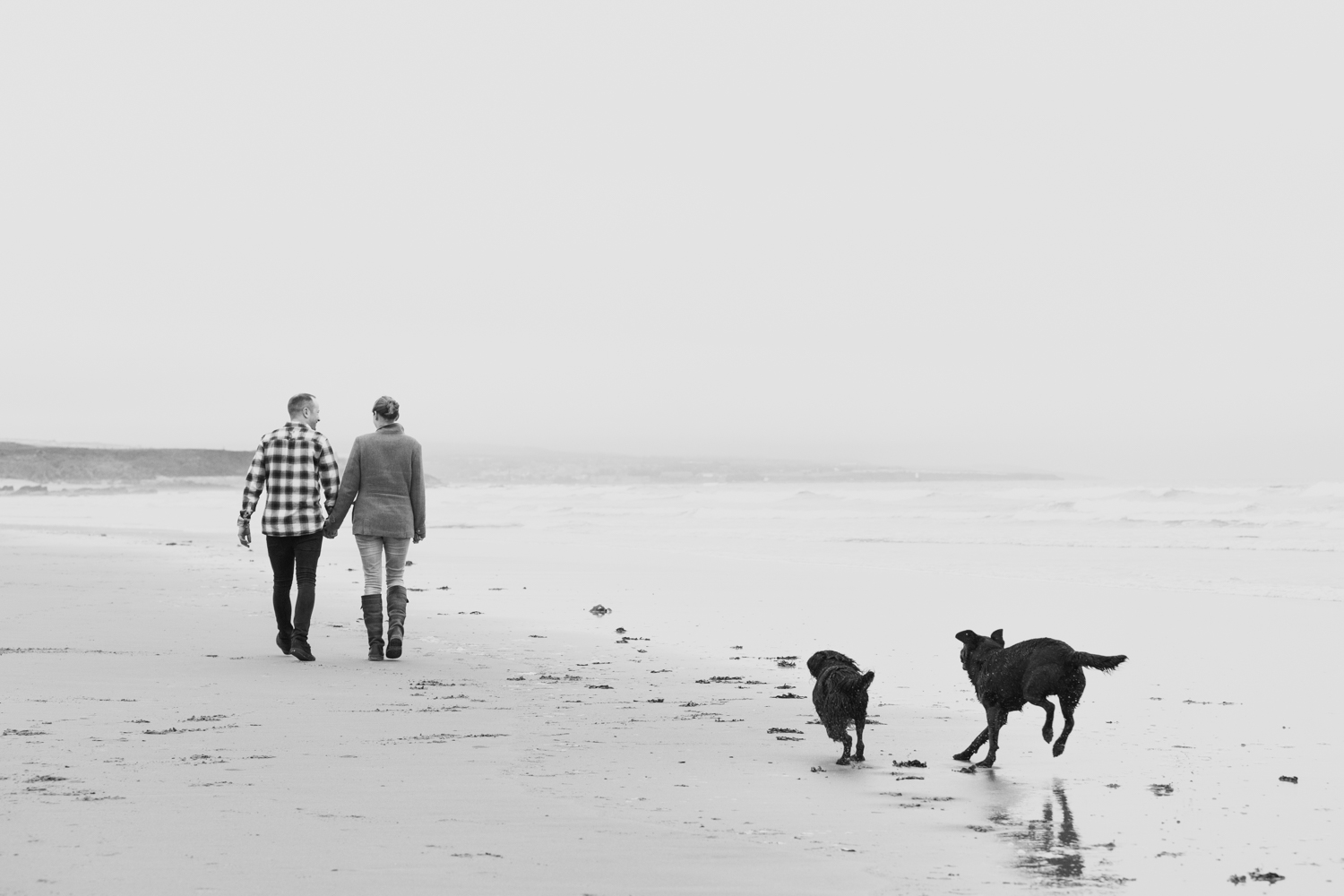 Couple hand in hand walking black dogs on the beach