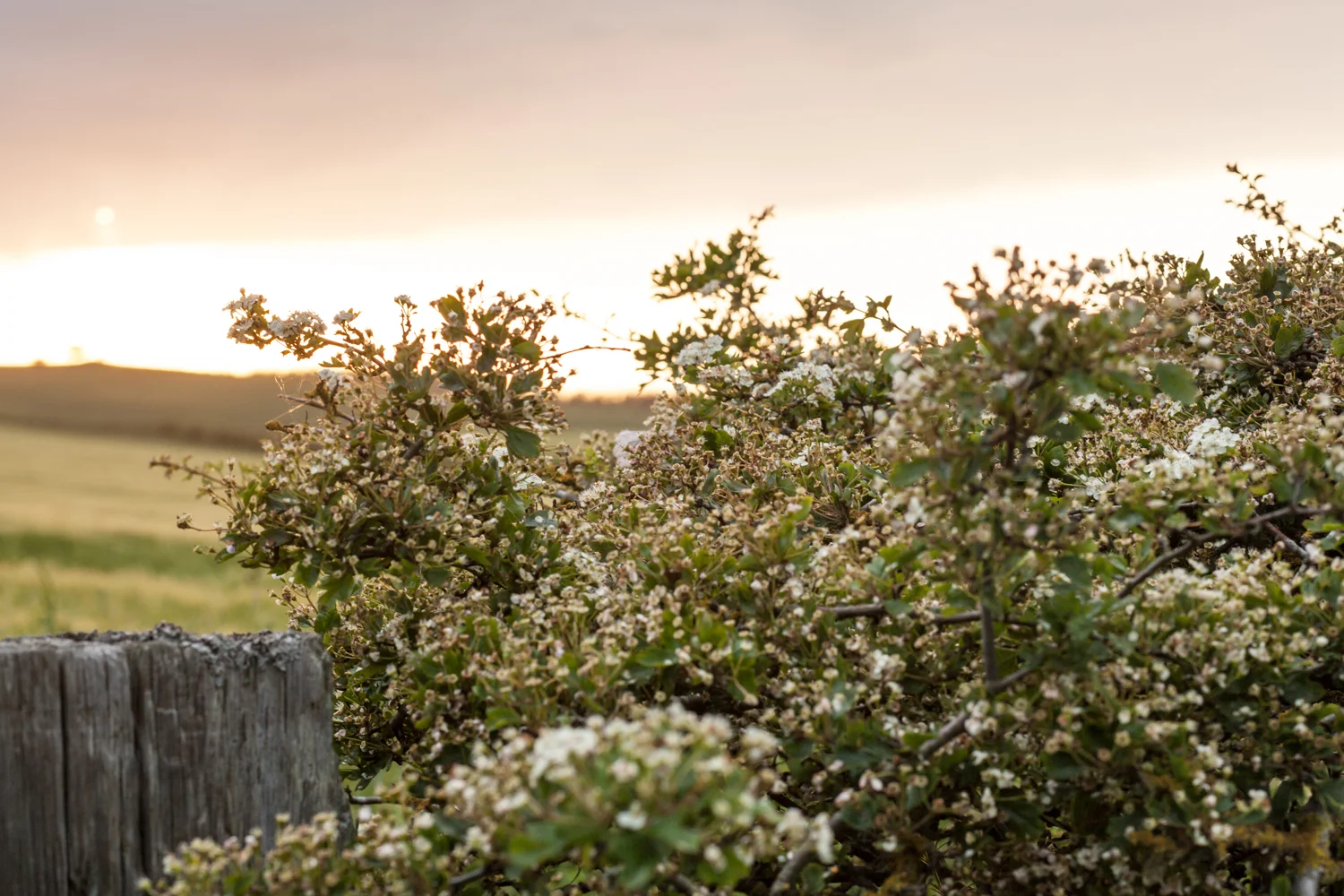 WEDDING_PICTORIAL_DOXFORD_BARNS_ALNWICK_BERWICK_SEASIDE_BUNTING_FARM-0885.jpg