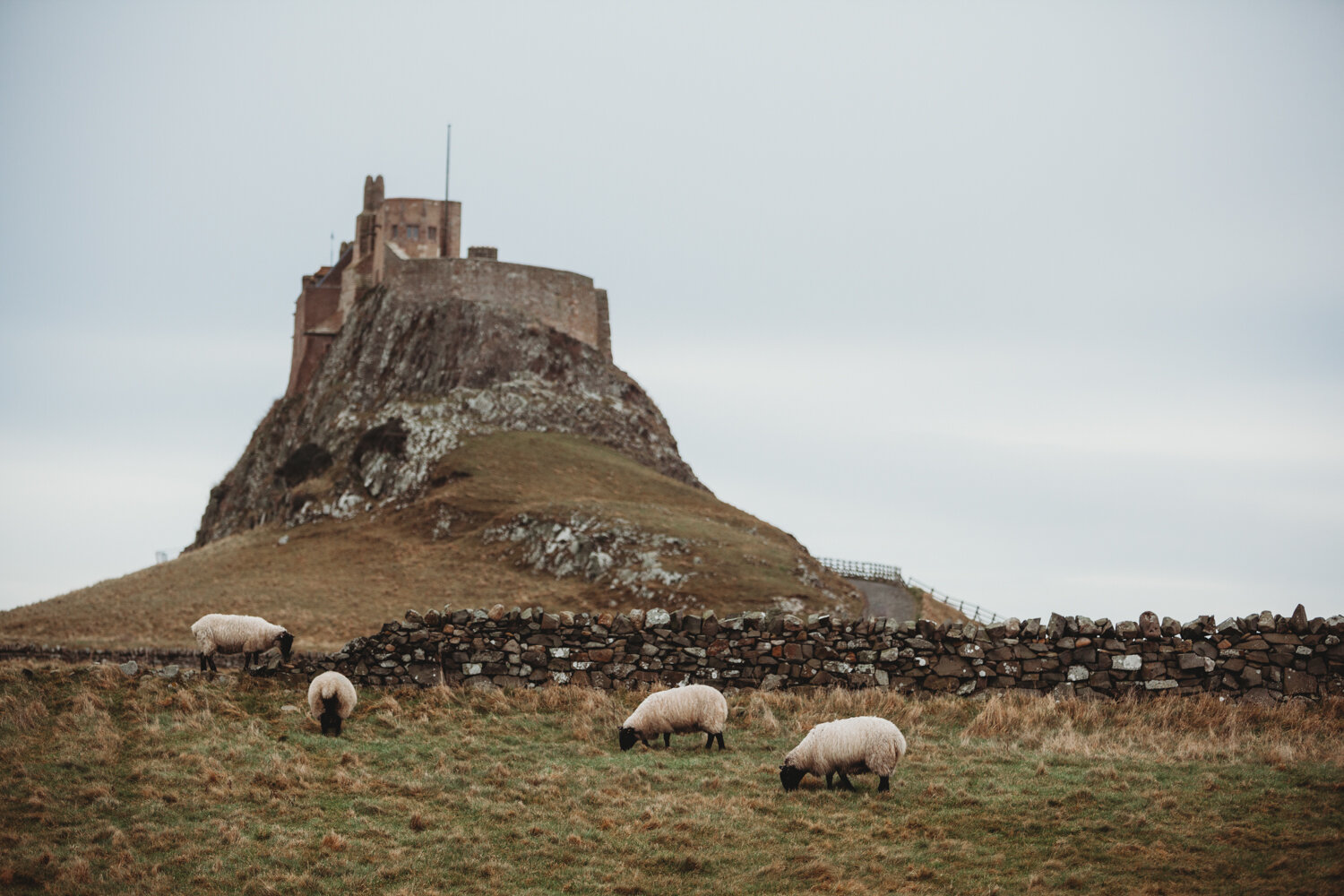 PICTORIAL_wedding-lindisfarne-castle-northumberland-photographer-mead-locally-sourced-holy-island-2.jpg
