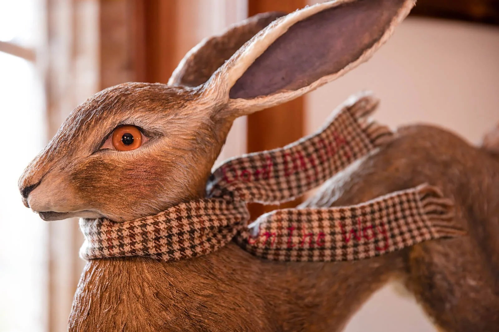A close up of Mandy Bryson's Sculpture Hector the Hare to show details.