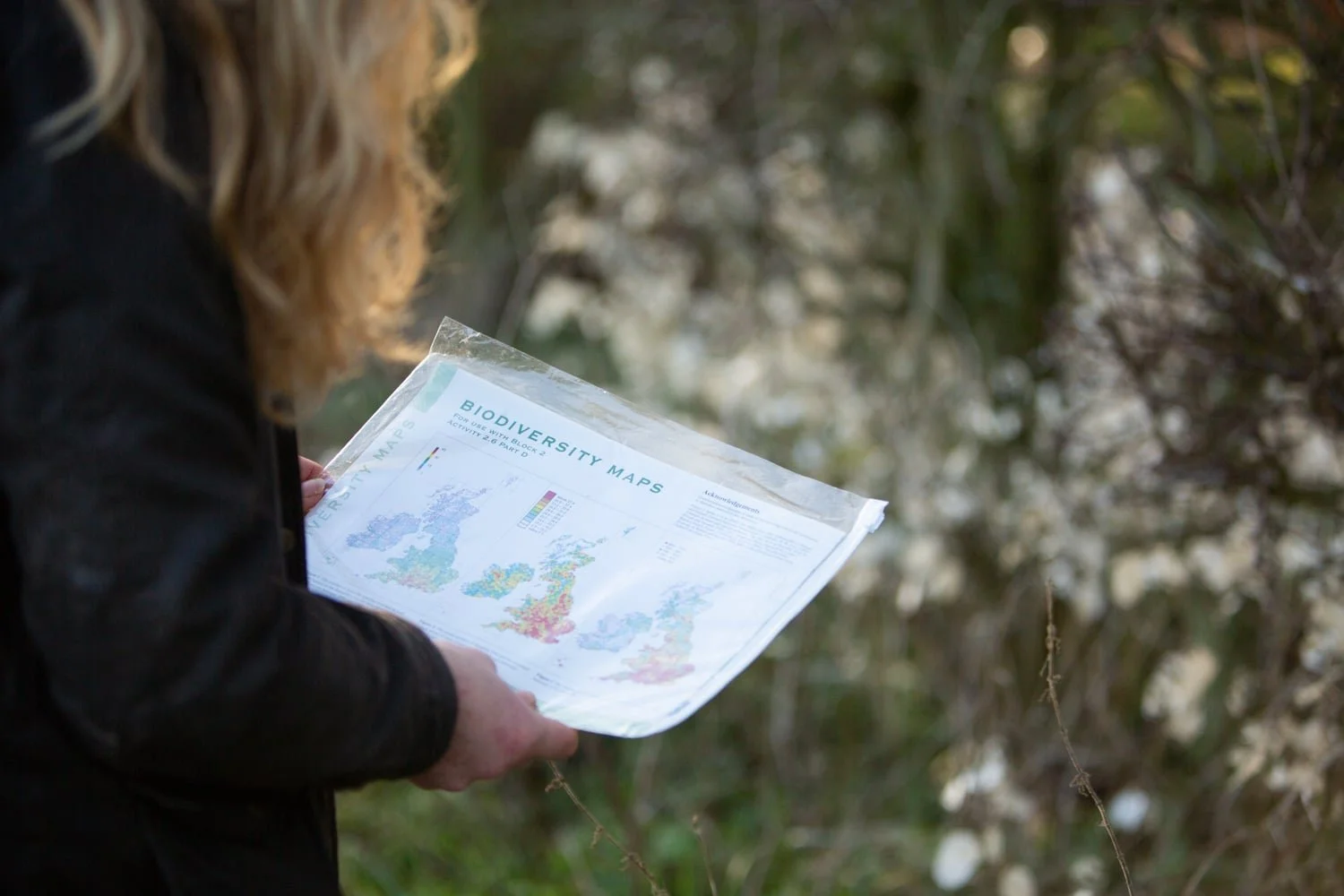 Anne Gray looking at biodiversity maps, close up shot over the shoulder