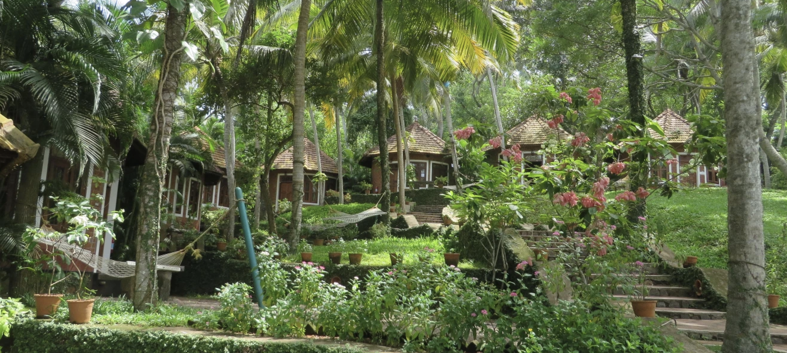 Screenshot 2026-04-22 at 9.53.11 AM.png