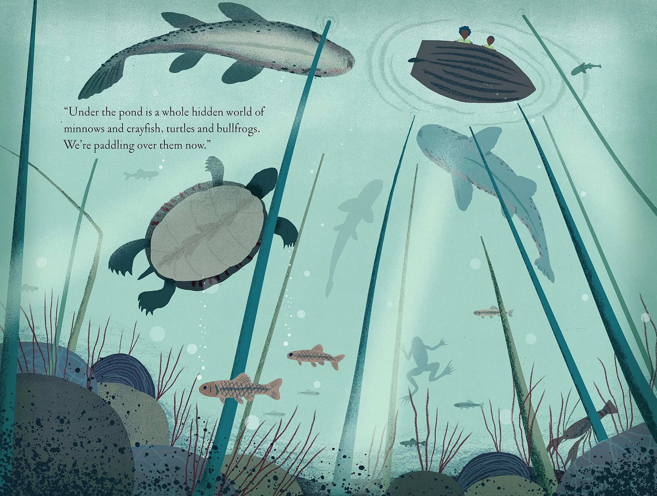 pond-underthepond.jpg