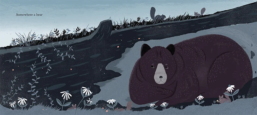 GO-BEAR-LORES.jpg