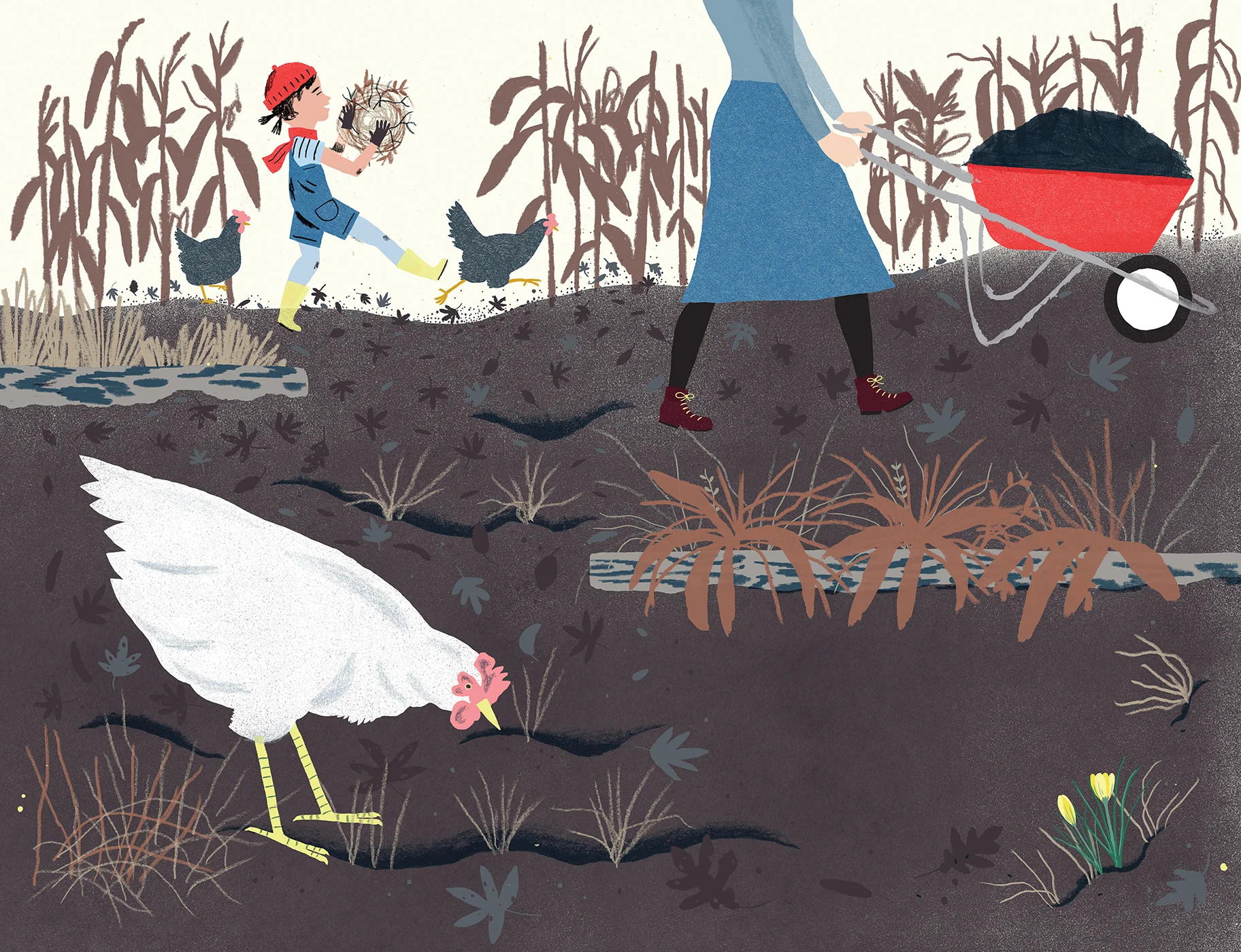 13.3-garden-final.jpg