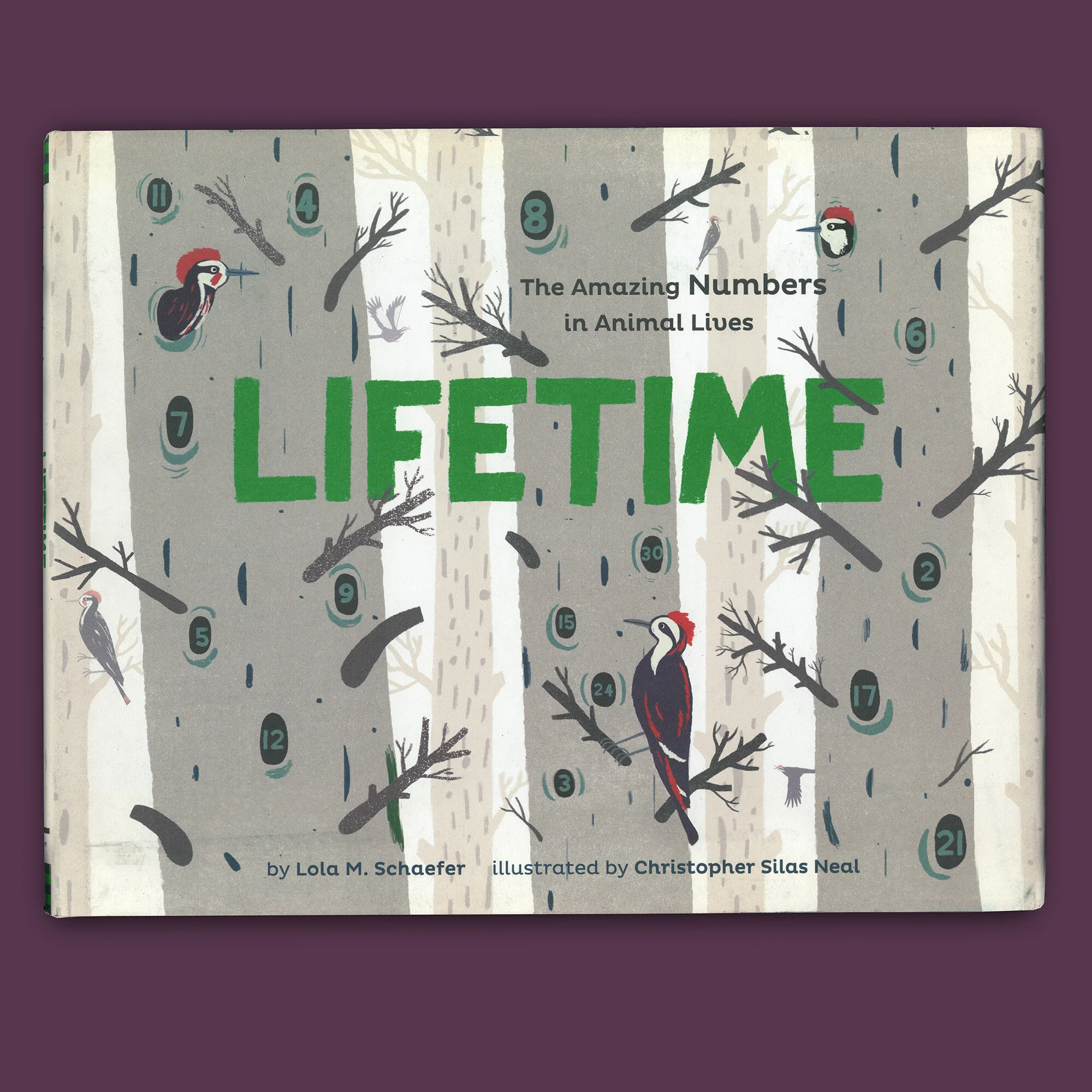 LIFETIME-COVER-1200px.jpg