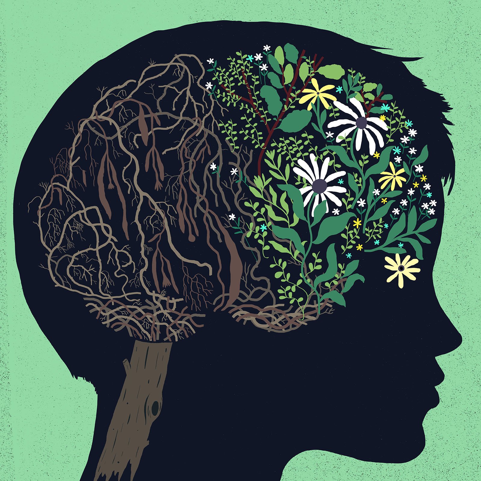 nytbrainfunction-1600PX.jpg